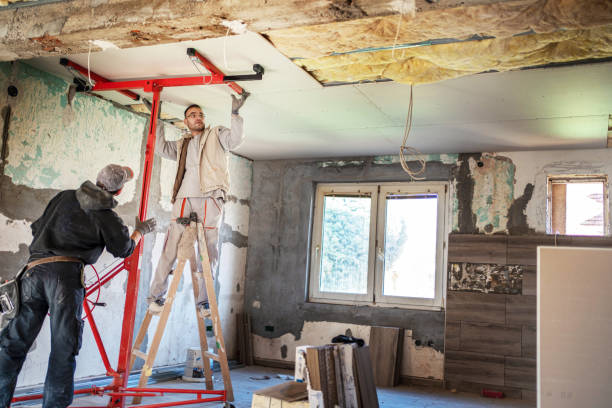 Best Insulation Removal  in Wolfdale, PA