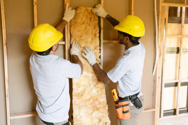 Best Professional Insulation Contractor  in Wolfdale, PA