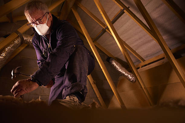 Best Insulation Contractors for Homes  in Wolfdale, PA